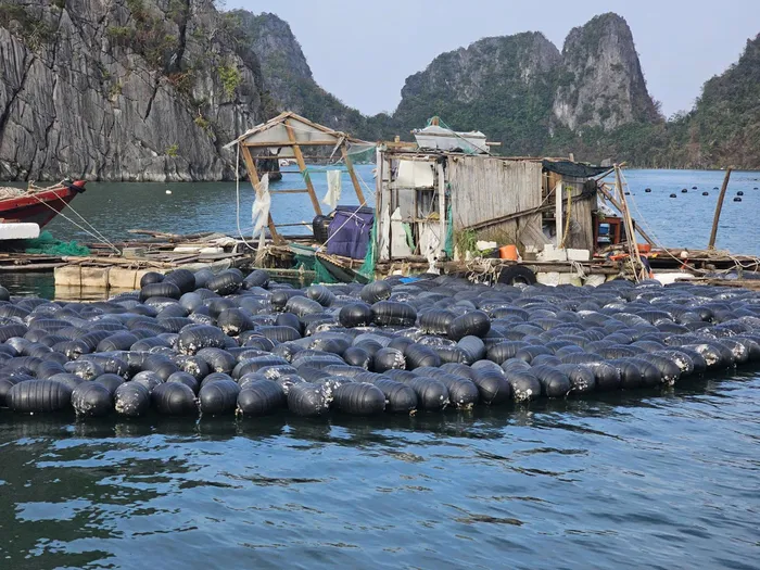 Sau bão, vùng biển Quảng Ninh và các điểm du lịch trên vịnh Hạ Long, vịnh Bái Tử Long ngập rác thải.