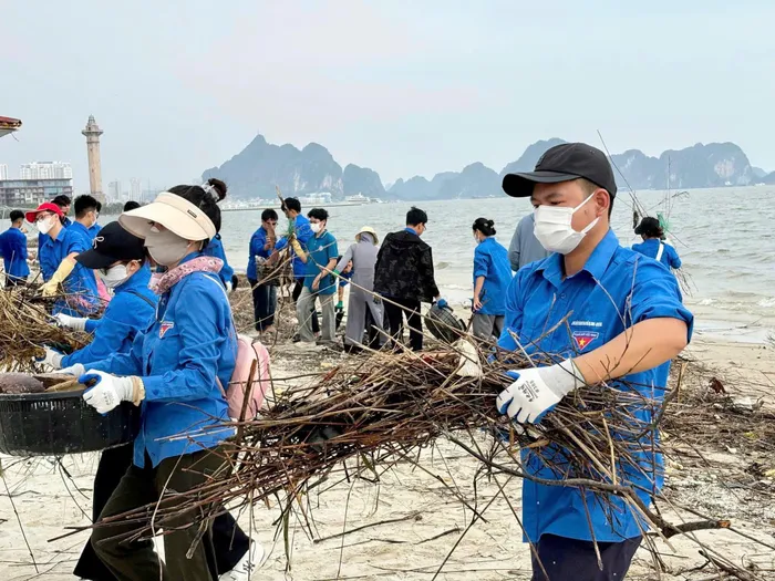 TP Hạ Long huy động hàng vạn đoàn viên, thanh niên và người dân thần tốc dọn dẹp vệ sinh môi trường trên bãi biển, vịnh Hạ Long.